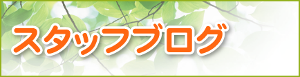 スタッフブログ